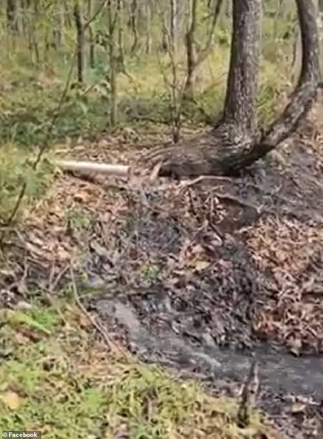 A local resident captured the spill on video and described the smell as 'putrid' and 'disgusting'