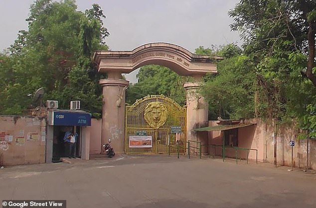 The Lucknow Zoo in Uttar Pradesh.  The hippopotamus was brought to the zoo from Kanpur a few weeks ago