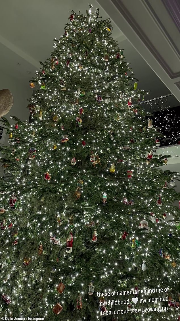 With Christmas just around the corner, Jenner recently took to her Instagram Stories on Sunday to give her fans a glimpse of her lush tree full of nostalgic decorations.