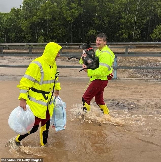 A search and rescue worker rescues a dog during an operation in far north Queensland