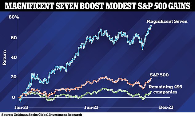 As market share grew, the Magnificent Seven represented a massive 33 percent of the S&P 500 index.  The 493 other non-Magnificent Seven companies in the S&P 500 rose only about 12 percent