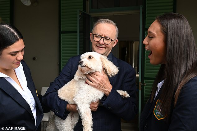 Mr Albanese scores higher than Mr Dutton on a number of points due to a number of characteristics, including sympathy and 'care for people'" (pictured Albanian center holding his dog Toto, who delighted members of the Australian Wallaroos women's rugby team at a Lodge reception in February)