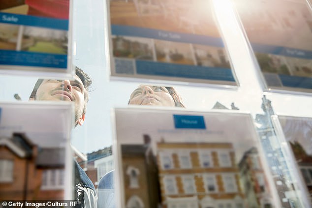 The Help to Buy share loan was available for new-build homes until the scheme ended in England earlier this year