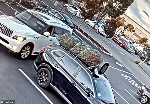 Earlier this month, a real-life Grinch stole a Christmas tree from the roof of a car in broad daylight in California's crime-ridden Bay Area