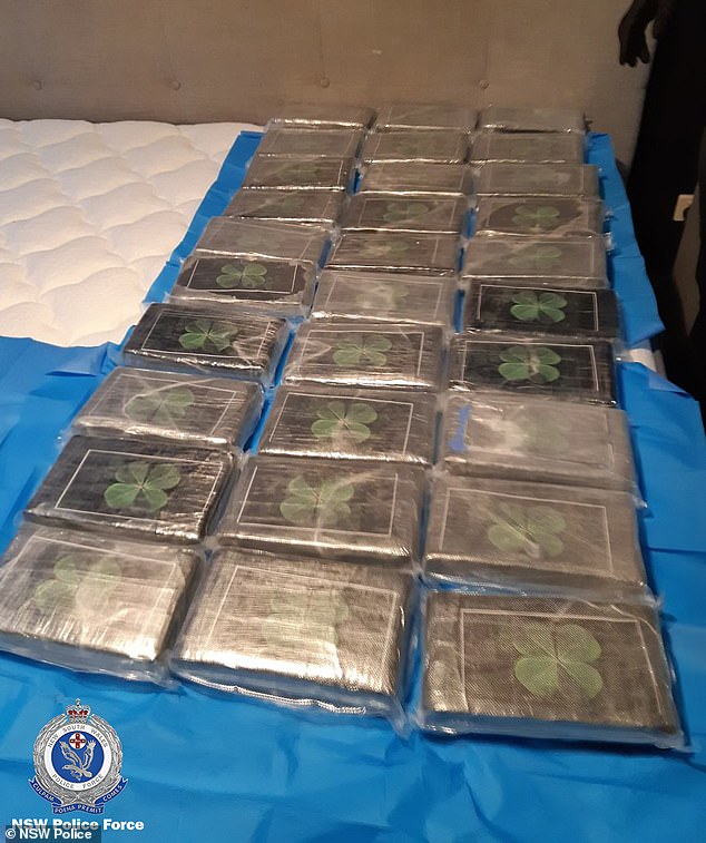 The photo shows some of the kilo blocks of cocaine found in the Ryde apartment