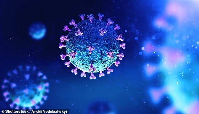 According to the CDC, more than a dozen states are experiencing increases in infections from influenza, respiratory syncytial virus and COVID (Photo: COVID-19 under a microscope)