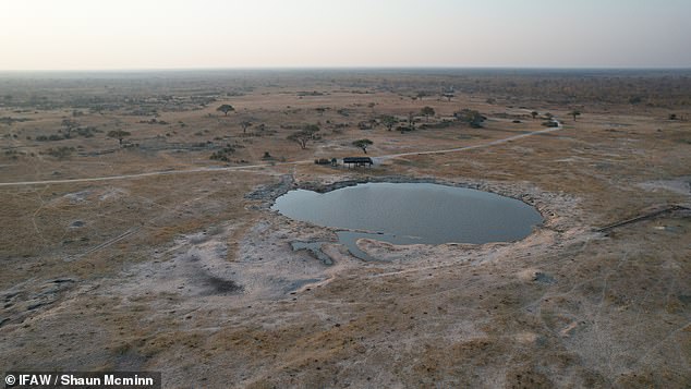 The rainy season in Zimbabwe once reliably started in October and continued until March.  It has become erratic in recent years, and conservationists have noted longer, more severe dry spells