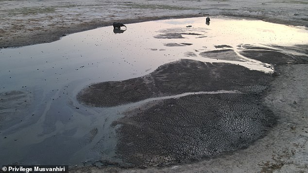 The 9,000-square-kilometer park, with no major river flowing through it, has just over 100 solar-powered boreholes that pump water for the animals.