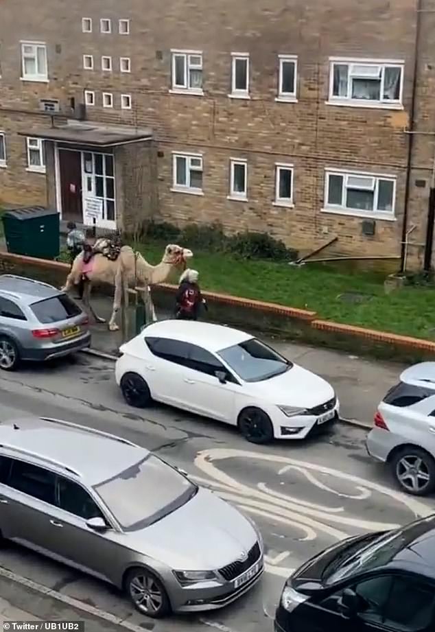 The viral clip has sent people into a frenzy, with one joking that it was a 'great way to avoid ULEZ charges', while another said it was 'Uber's new XL vehicle'.