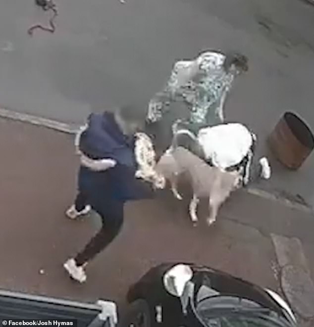 In a gruesome battle between man and beast, the owner then tries to wrestle his dog back from the enormous mutt, with a woman in a matching patterned outfit quickly passing by in an attempt to help.