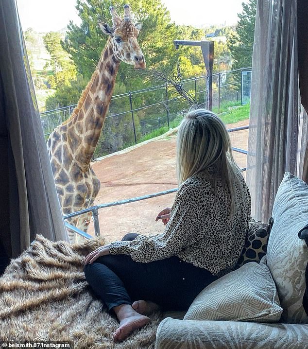 The National Zoo's Jamala Wildlife Lodge (pictured) will remain closed until December 30