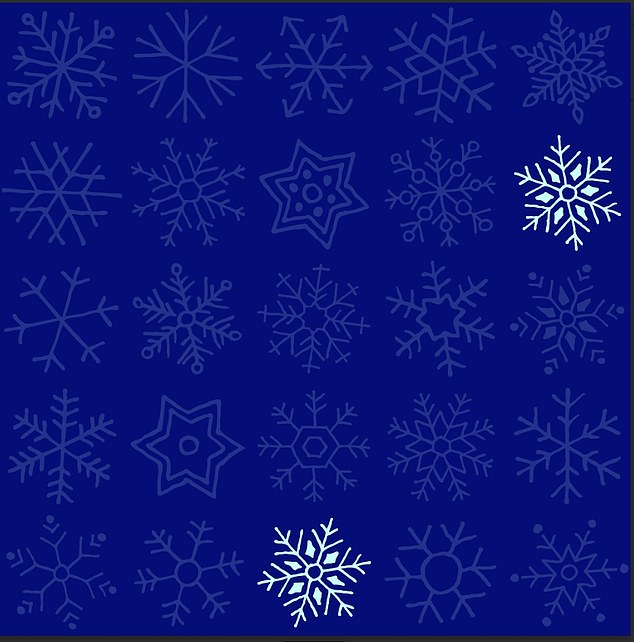 Pictured are the matching snowflakes.  Did you find them within 30 seconds?