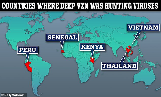 USAID's DEEP VZN project (pronounced deep vision) was hunting for viruses among wildlife in Asia, Africa and Latin America.