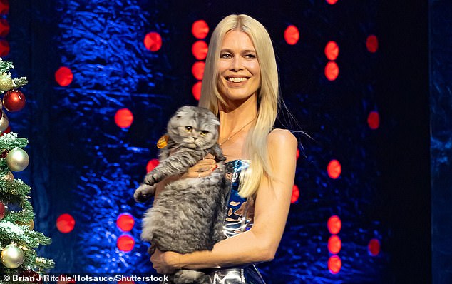 The next moment, Claudia walks into the studio holding the cat in her arms, which seems very cool under the pressure of the audience.