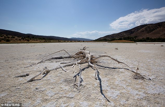 California will become the second state after Colorado to adopt these rules, as the Golden State faced extreme drought last year and struggled to supply drinking water to its 39 million residents.  Pictured: Elizabeth Lake in California