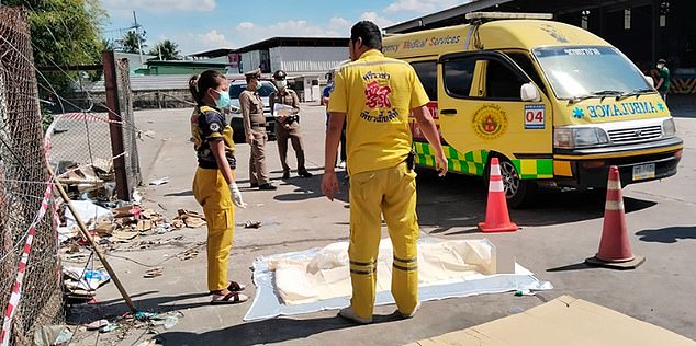 Police were called and officers sent into the container found a second limb extending to the pelvis, compressed into a cardboard cube and also wearing a black sock.