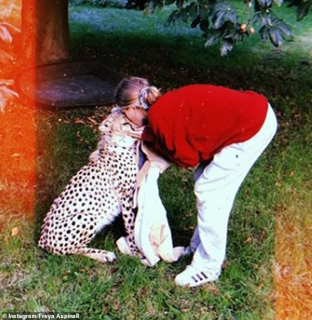 Freya, pictured with Saba the cheetah, hopes to start a modeling career and use her profile to champion ethical brands, thanks to her family's love of conservation