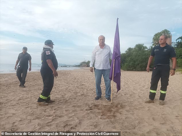 An official holds a purple flag indicating to swimmers that dangerous marine life has been spotted in the area