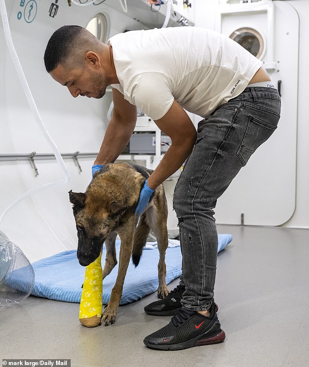 In the photo: Mikey is helped out of the room by technician Bari Tamam