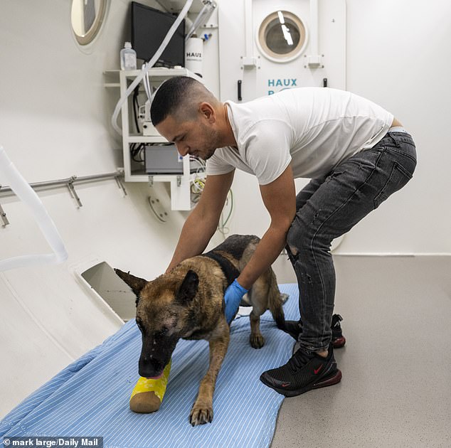 Mikey is helped out of the room by technician Bari Tamam