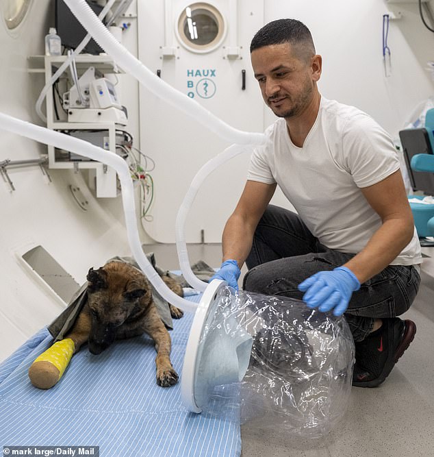 Mikey receives bursts of 100 percent oxygen through a face mask in a chamber that doubles the atmospheric pressure for two hours six times a week