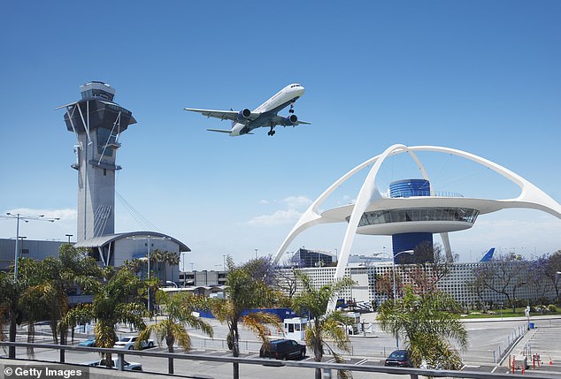 The object was filmed in the sky above LAX airport and experts say they cannot say for certain that it was a balloon due to its position within the low information zone.