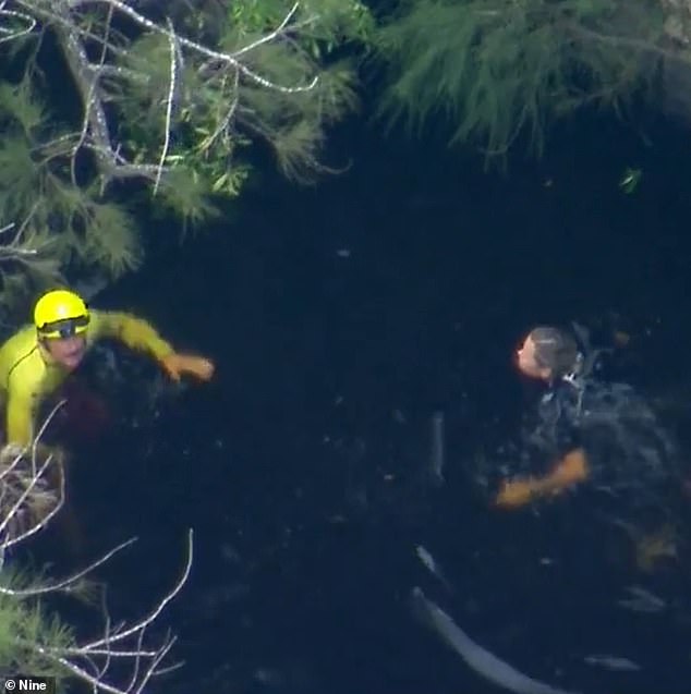 Swift water rescue crews along with specialist divers from Queensland Police desperately searched for the boy after he failed to resurface (pictured, rescuers search for the boy)