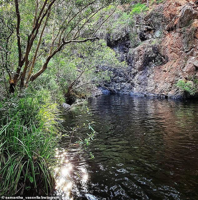 The boy went swimming in the creek with a group of friends on Thursday morning before he was reported missing, sparking a desperate search and rescue operation (Kholo creek photo)