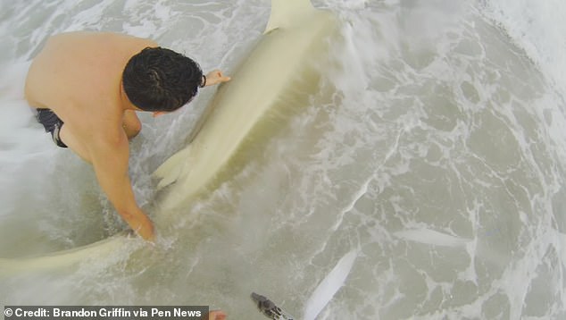 Mr Griffin, who estimated the shark was up to 3 meters long, left people divided when he shared evidence of his daring dive online