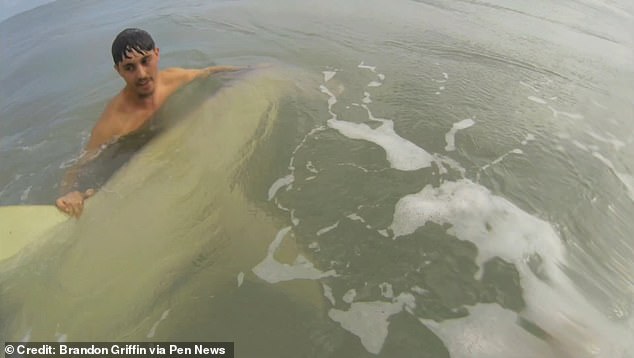 Several people said hammerhead sharks rarely survive when hooked.  That's why it was so important to Mr. Griffin to quickly reel in the shark and see her come out safely.