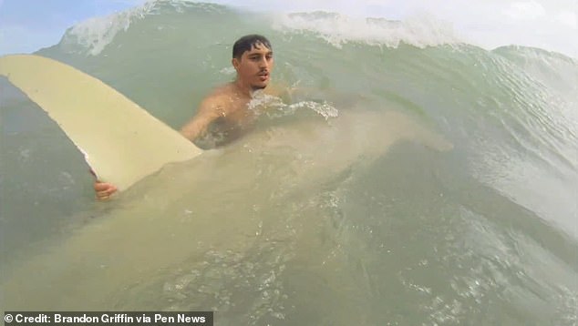 Mr Griffin and his friend had to fight through large waves to get the shark back into the sea