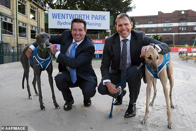 Mestrov (pictured right during his time at Greyhound Racing NSW) was forced to increase security at his home on Sydney's northern beaches