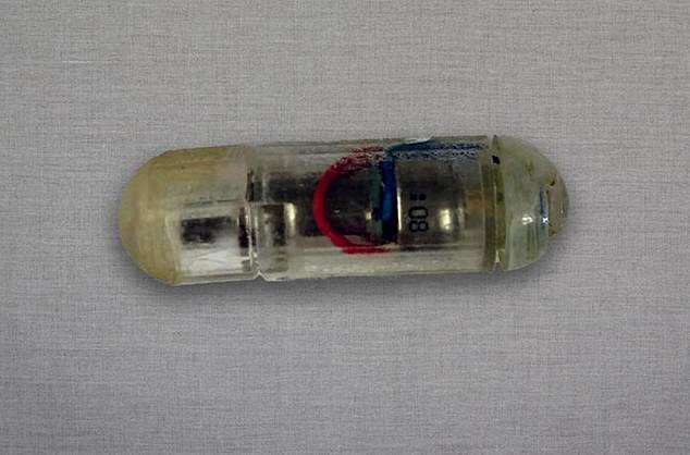 Researchers at the Massachusetts Institute of Technology found that vibrations from the device tricked the stomach into thinking it was full.  Pictured above is the device, called a Vibrating Ingestible BioElectronic Stimulator or VIBES