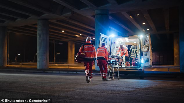 According to the American Medical Association, there are more cardiac deaths on Christmas Day than any other day of the year, closely followed by Boxing Day and New Year's Day (file photo)