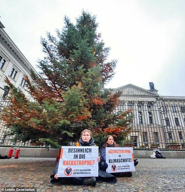 1703289117 350 Eco activists backed by California climate fund have destroyed holiday trees