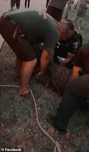 Officers helped remove the massive predator