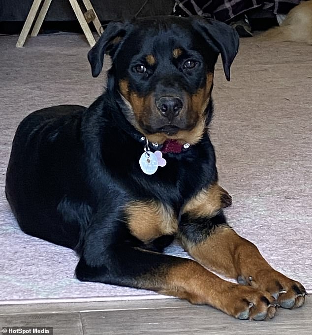 Kendra's four-month-old Rottweiler, Rory, ran past her and accidentally set her pants on fire, resulting in severe burns that took her nearly a year to recover.