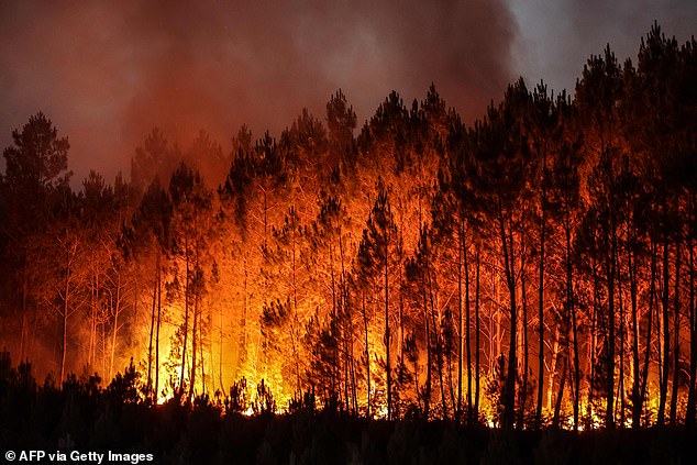 Craig also said he sees a lot happening in Australia in the coming years, including bushfires, floods, an explosion in the Great Barrier Reef and a new pandemic originating there.