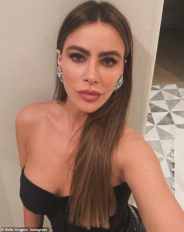 Vergara has been making the most of her holidays and recently shared a pre-Christmas party snap on her Instagram account