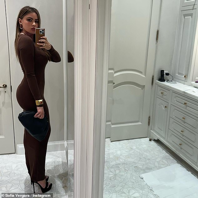 Vergara then shared a photo of herself wearing a striking brown dress that hugged her curves