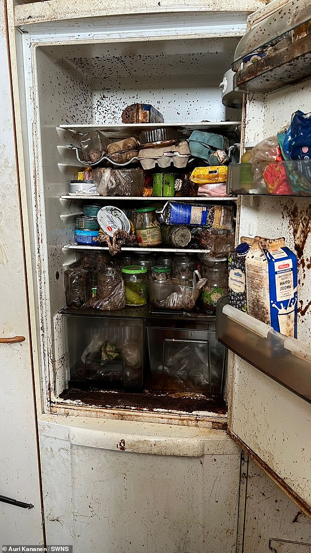 In the photo: a refrigerator in one of the buildings before it was cleaned by Auri