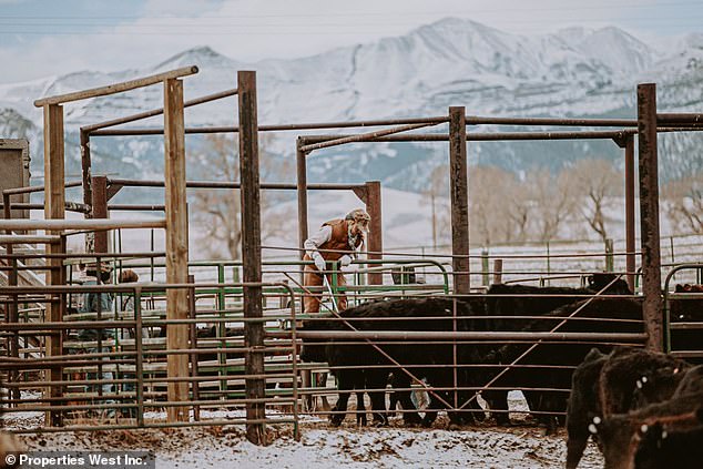 Farming on the ranch dates back to Otto Franc's founding in 1878, when he brought more than 1,000 cattle from Oregon before rapidly expanding, and historical ledgers valued his cattle at more than $200,000.