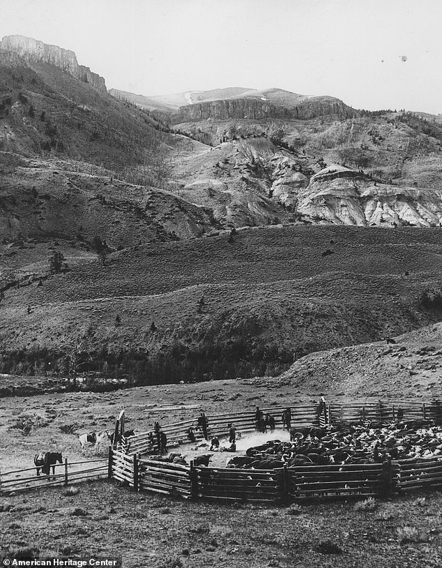 The place became famous across America after famed photographer Charles Beldon used the rolling hills of Wyoming as his muse.  The former Pitchfork Ranch owner's photos of the picturesque area became famous after appearing on the covers of Life and National Geographic magazines