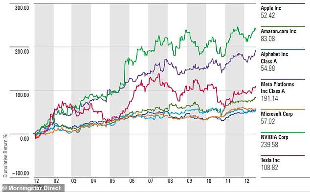 Bumper year: The 'Magnificent Seven' tech stocks include Apple, Amazon, Microsoft, Facebook owner Meta and Google's parent company Alphabet