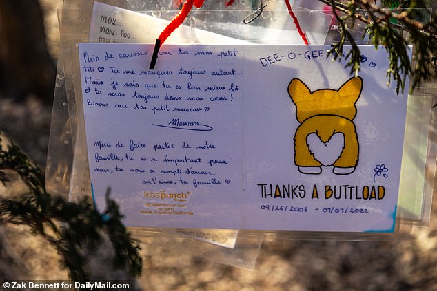 In a hilarious but tear-jerking tribute, the pet was thanked with a 'bum load', accompanied by a drawing of a dog's bum