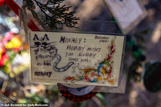 For a cat named 'Monkey', her tribute said how much she was missed