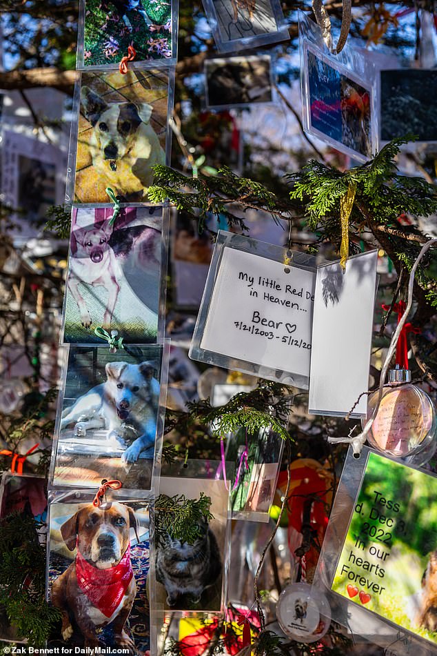 Marianne Larsen said even people who have left New York stop by during the holidays to visit the memorials they have erected