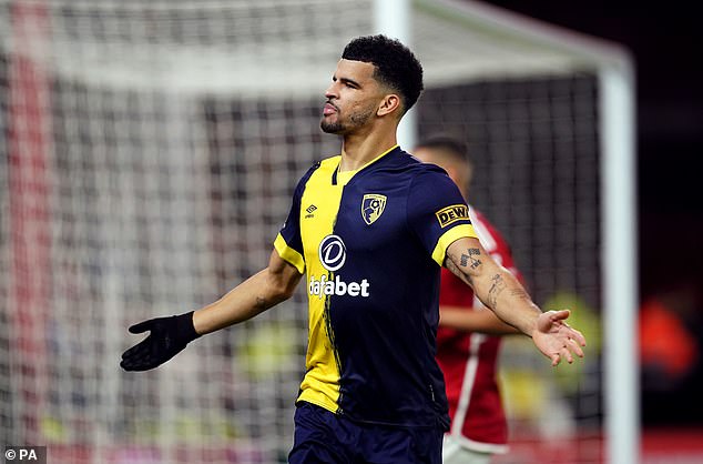 Solanke celebrates after scoring Bournemouth's equalizer in the 51st minute