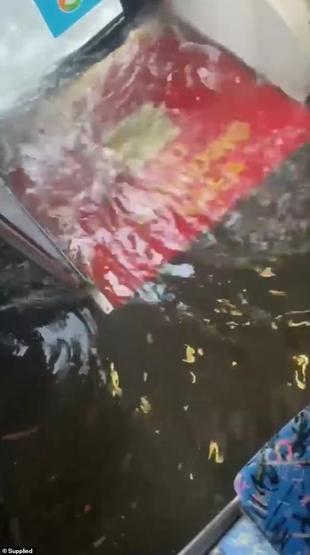 Footage of a bus passenger traveling along Anzac Parade shows they had to stand on their seats as the floor of the bus was flooded as it traversed the flash floods (pictured)