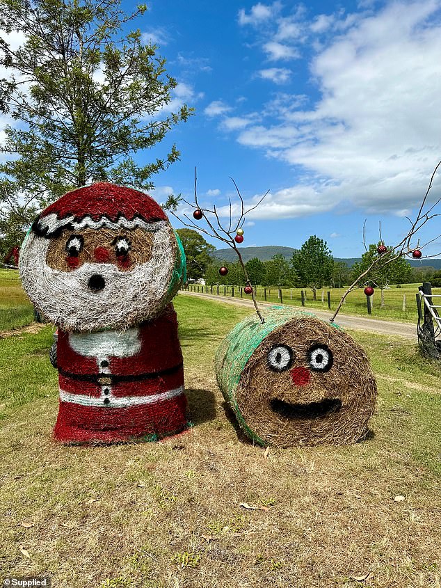 And finally... may I introduce you to our beautiful bogan Christmas tradition: a Santa Claus and reindeer made from the hay bales that have been rotting in our family's barn for far too long